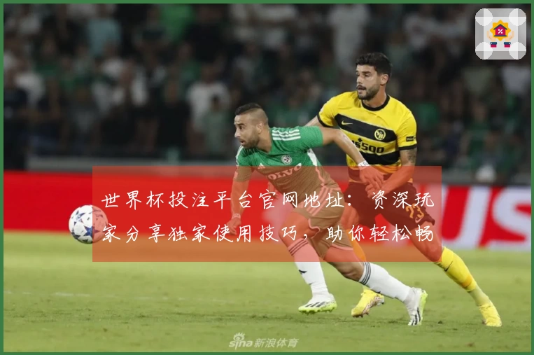 世界杯投注平台官网地址：资深玩家分享独家使用技巧，助你轻松畅享体育赛事直播