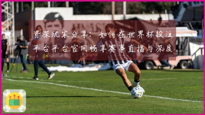 资深玩家分享：如何在世界杯投注平台平台官网畅享赛事直播与深度功能体验
