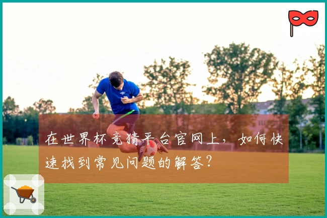 在世界杯竞猜平台官网上,如何快速找到常见问题的解答?