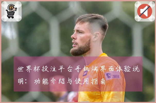 世界杯投注平台手机端界面体验说明：功能介绍与使用指南