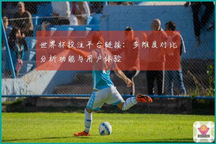 世界杯投注平台链接：多维度对比分析功能与用户体验